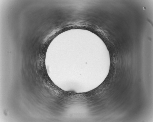 X0000101461159200808041035