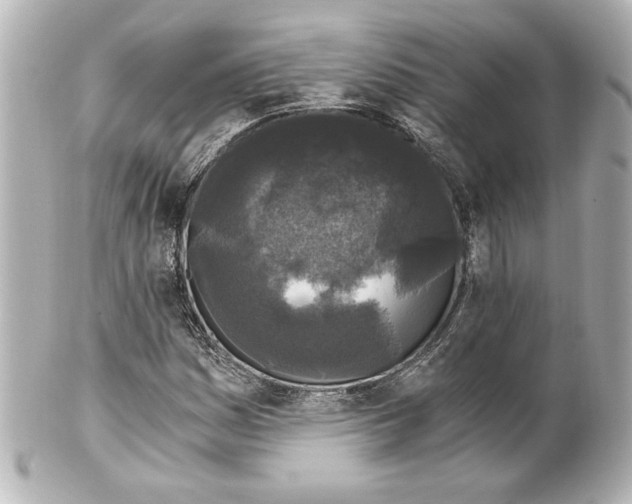 X0000101461161200808041035