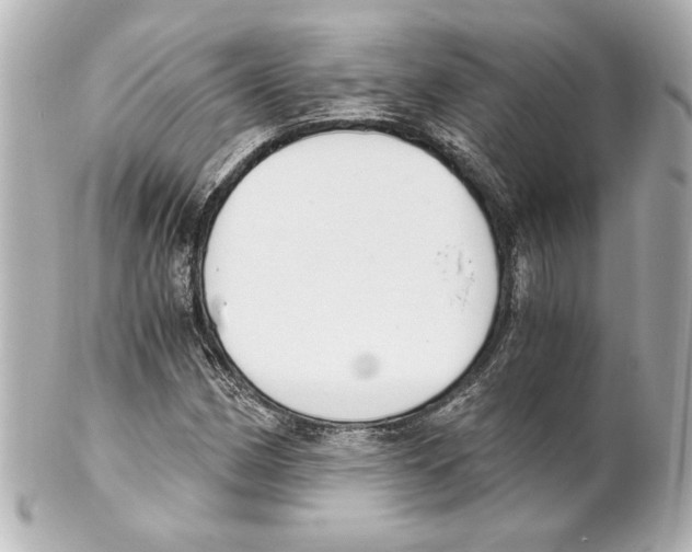 X0000101461162200808041035