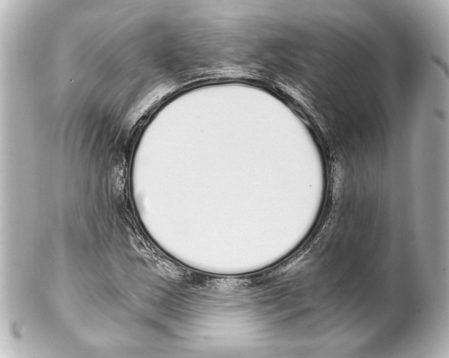 X0000101461163200808041035