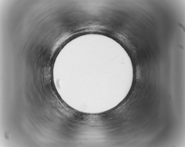 X0000101461164200808041035