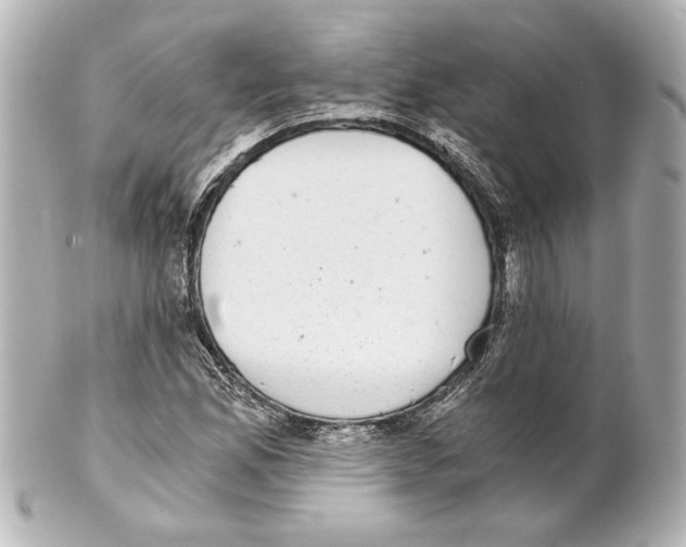 X0000101461165200808041035