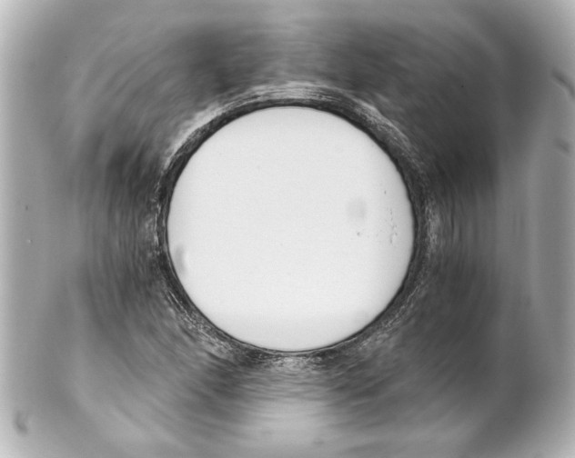 X0000101461166200808041035
