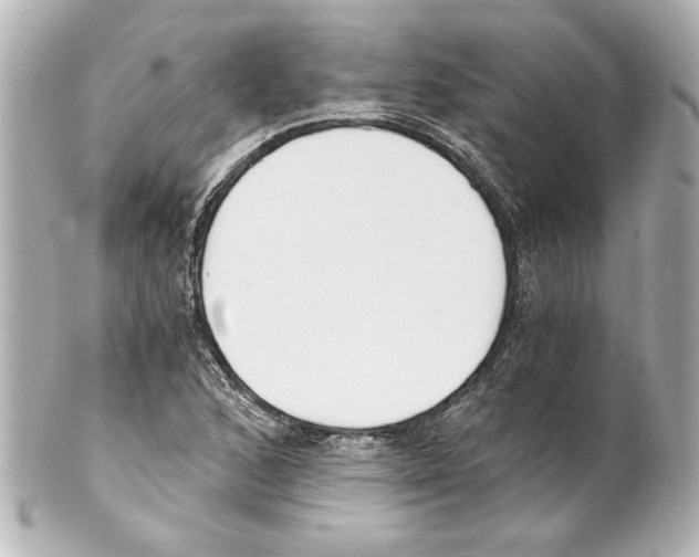X0000101461168200808041035