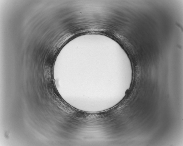 X0000101461169200808041035