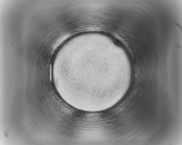X0000101461171200808041035