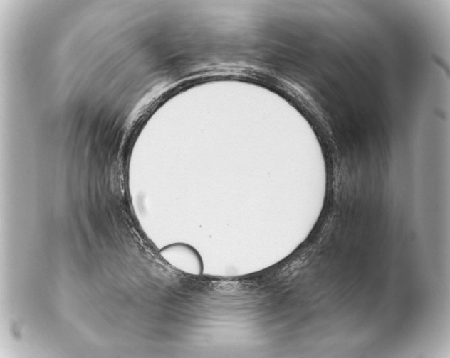 X0000101461172200808041035