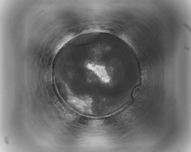 X0000101461173200808041035