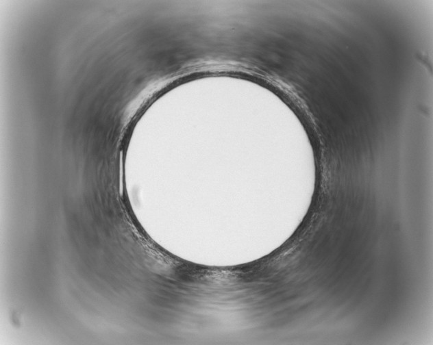 X0000101461175200808041035