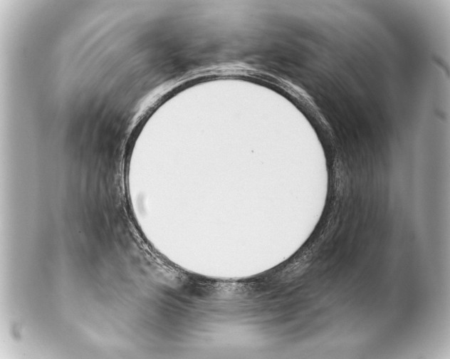 X0000101461176200808041035