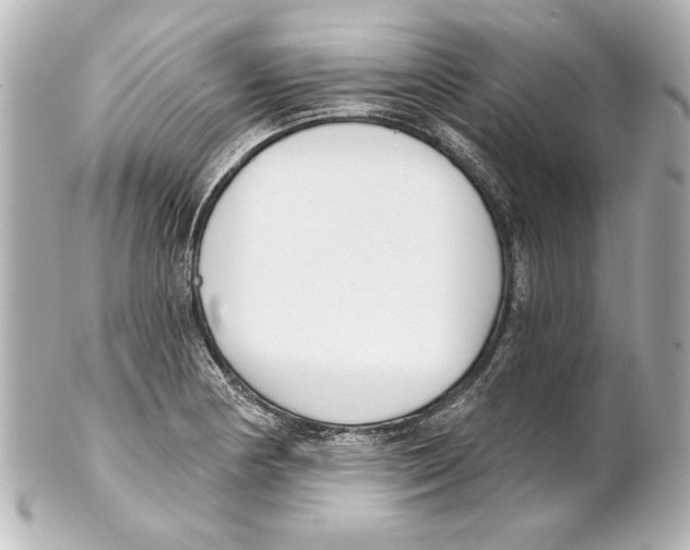 X0000101461178200808041035