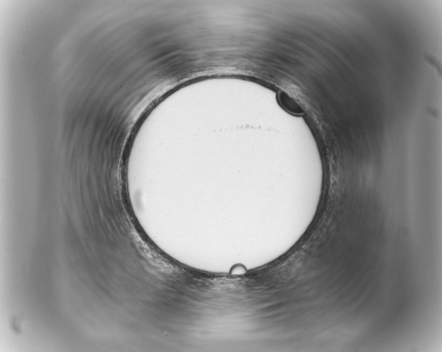 X0000101461181200808041035