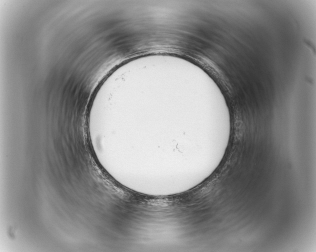 X0000101461182200808041035