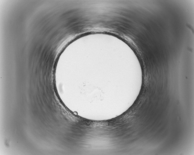 X0000101461183200808041035
