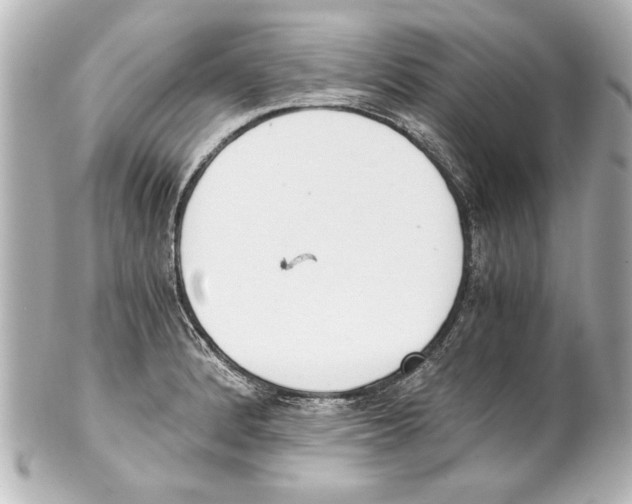 X0000101461184200808041035