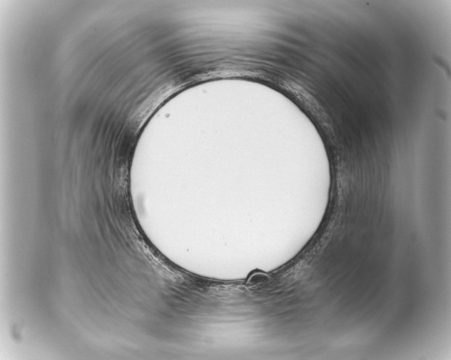 X0000101461185200808041035
