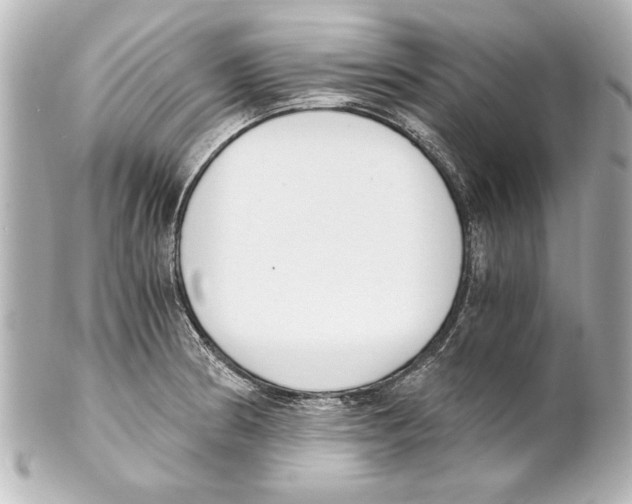 X0000101461186200808041035