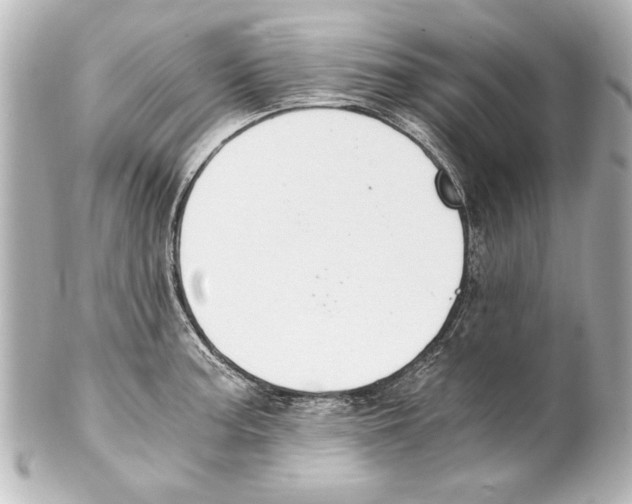 X0000101461187200808041035