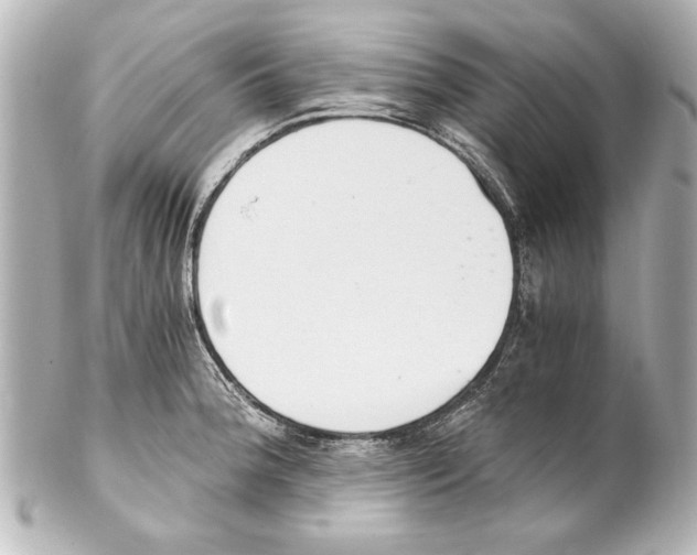 X0000101461188200808041035