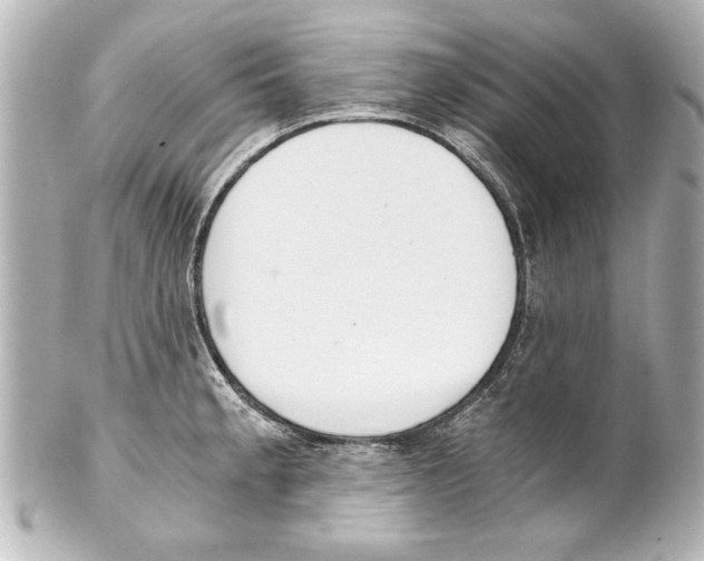 X0000101461189200808041035