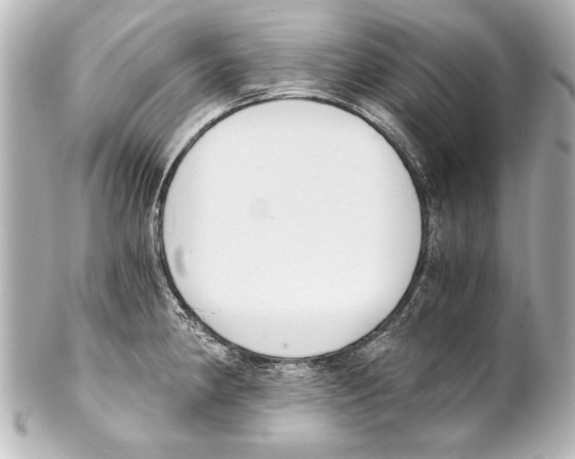 X0000101461190200808041034