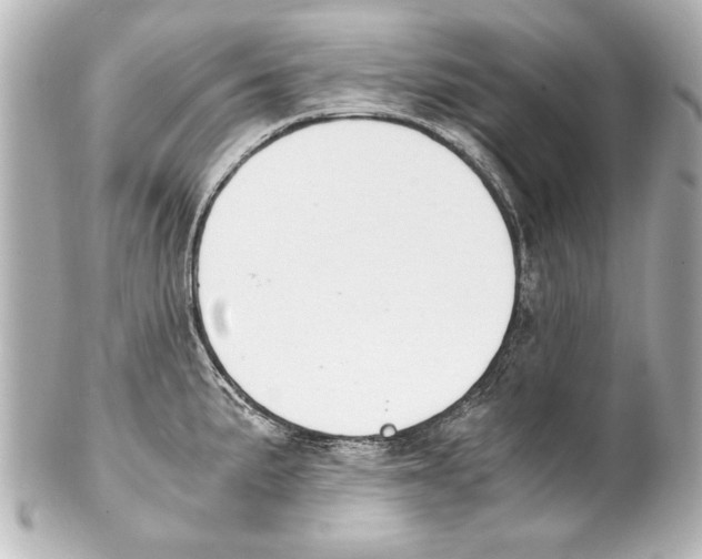 X0000101461191200808041034