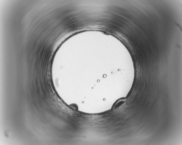 X0000101461192200808041034
