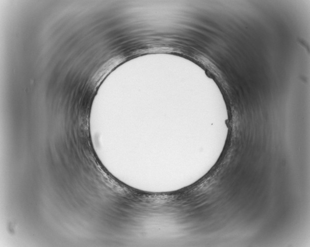 X0000101461193200808041034