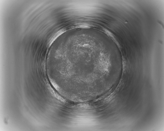 X0000101461194200808041034
