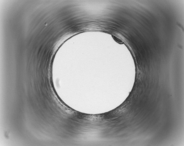 X0000101461195200808041034