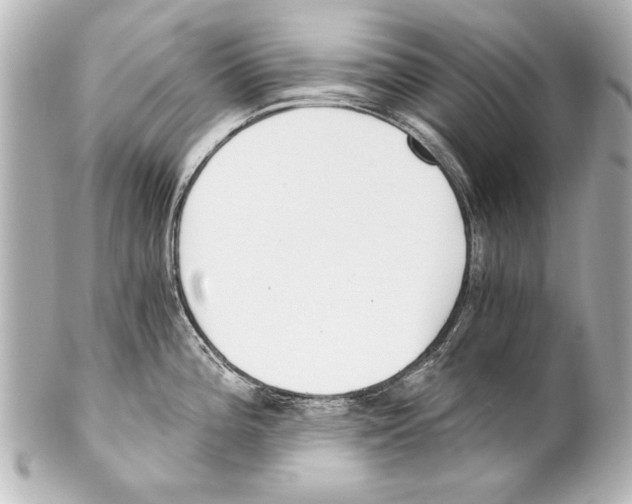 X0000101461196200808041034