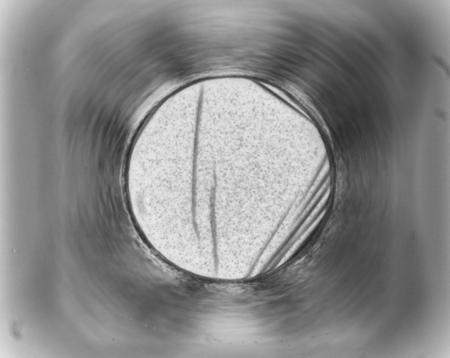 X0000101461197200808041034