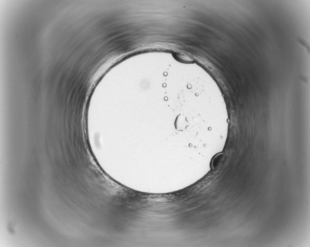 X0000101461199200808041034
