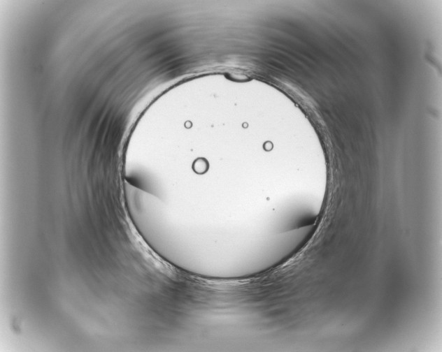X0000101461200200808041034