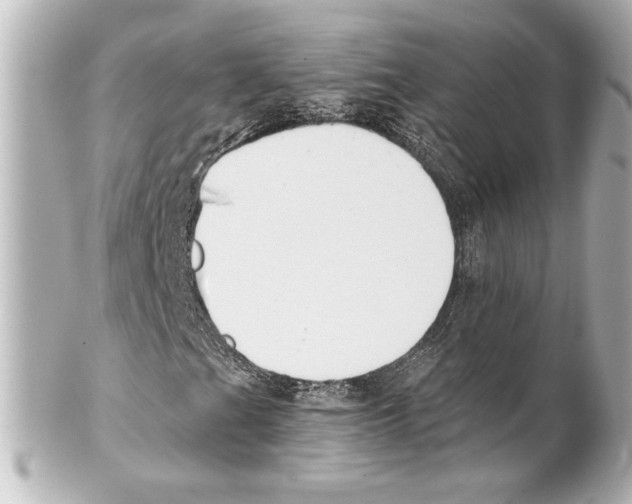 X0000101461201200808041034