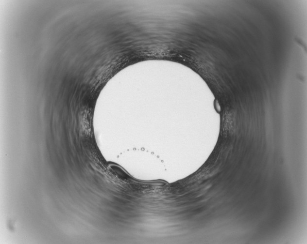 X0000101461202200808041034