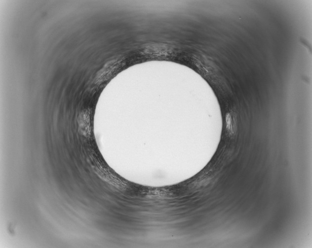 X0000101461203200808041034