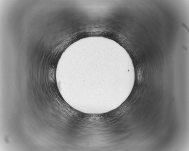 X0000101461204200808041034