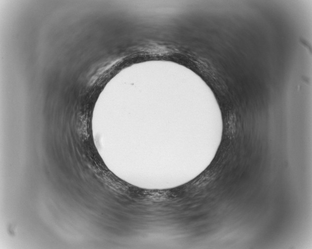 X0000101461205200808041034