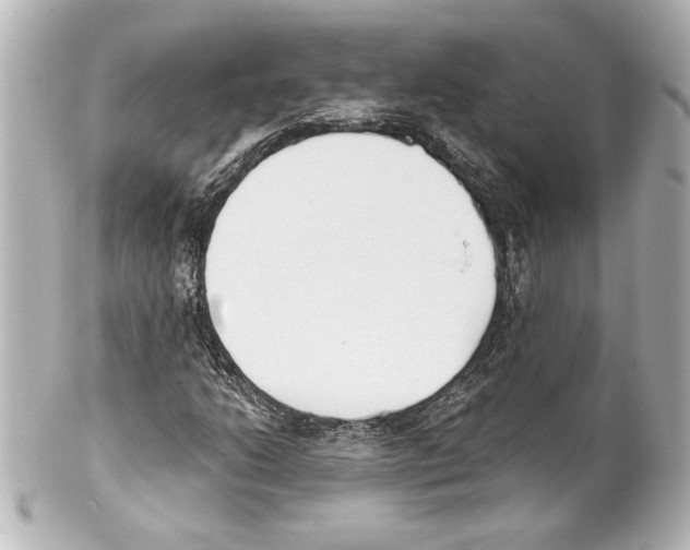 X0000101461206200808041034