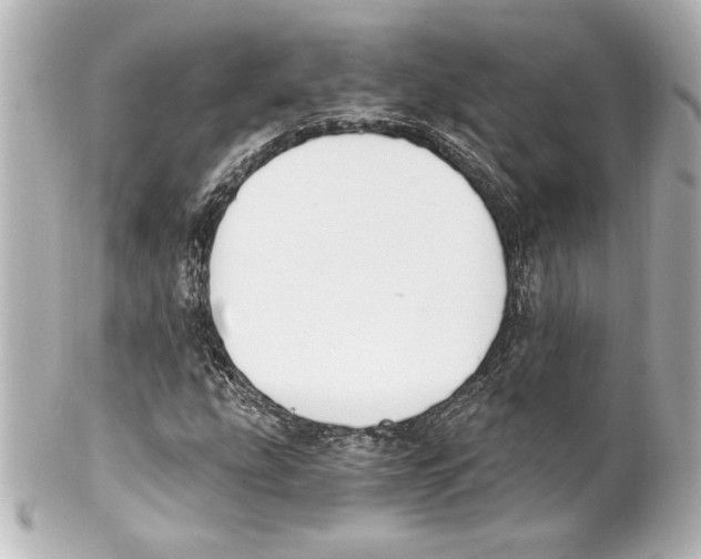 X0000101461207200808041034