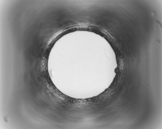 X0000101461208200808041034