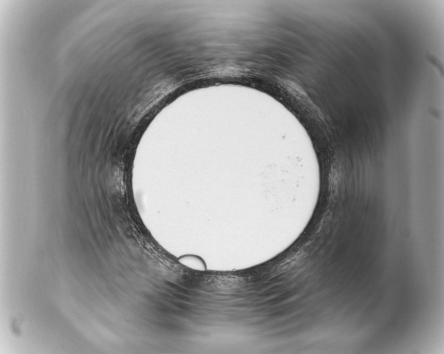 X0000101461209200808041034
