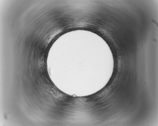 X0000101461210200808041034