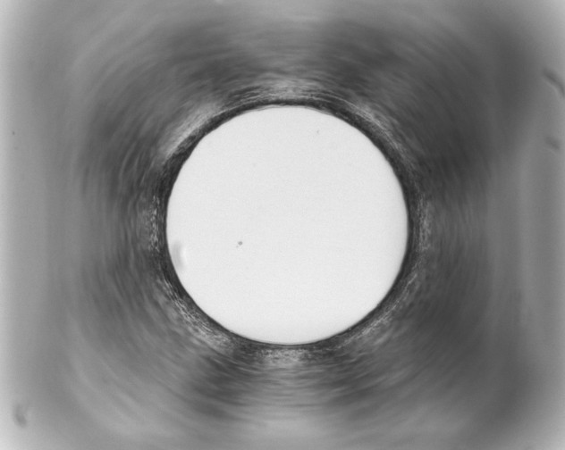 X0000101461211200808041034