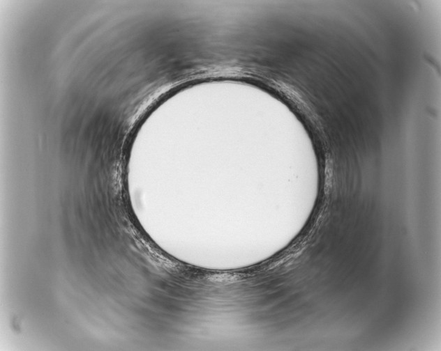 X0000101461212200808041034