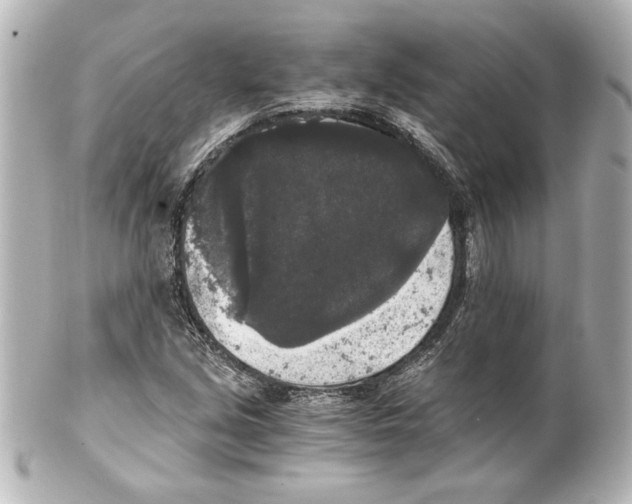 X0000101461213200808041034