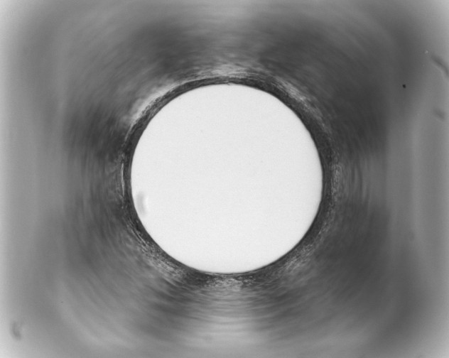 X0000101461214200808041034