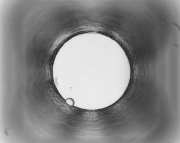 X0000101461215200808041034