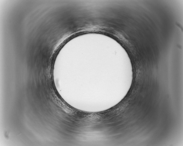 X0000101461216200808041034